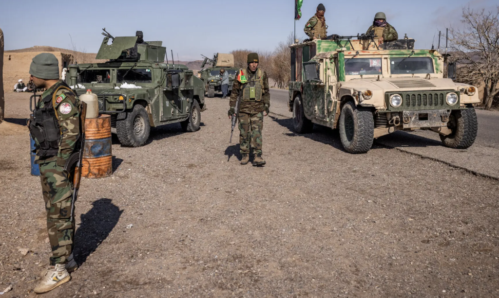 Servis Cheetah Taliban Shoes